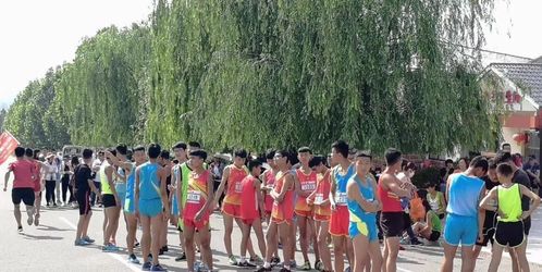 520 传播爱丨竹泉村·红石寨 用奔跑迎接你，共筑健康台球情