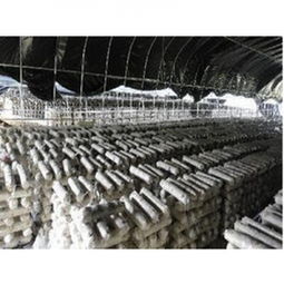 活力绽放，健康领航——2017北京国际休闲健身运动产品博览会引领健身新风尚