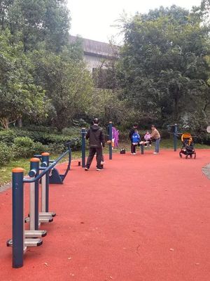 台球活动 技巧、策略与社交的交融