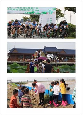 又双叒叕入选！平园池再获两个省级荣誉，台球活动添彩乡村新画卷