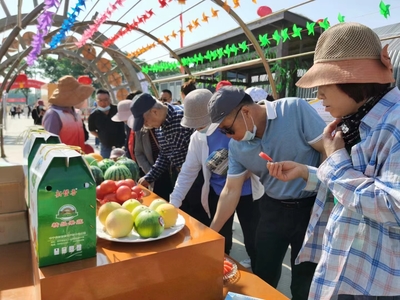 中宁县新堡镇首届田园休闲观光采摘节 台球活动点亮乡村活力