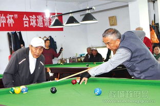 2016年奚仲杯台球邀请赛在薛城区老干部活动中心圆满落幕